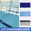 Piscina Estándar Internacional, Gimnasio, Azulejos para Piscina, Piscina de Entrenamiento para Competición, Piscina Especial para Patio, Azulejos para Piscina Privada