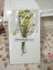 Cartão de felicitações com gipsofila seca atacado para enviar cartão de namorado buquê de flores arte cartão de bênção caixa de presente de aniversário