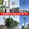 Lámpara de calle LED solar integrada Sistema de energía eólica intercambiable Iluminación solar para zonas rurales nuevas Lámparas Zhongshan
