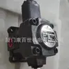 Bomba de Óleo Hidráulico Taiwan SSAN VP-20-FA3 VP-30-FA3 VP-40-FA3 VP-15-FA Bomba de Palhetas