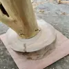 Galhos Secos, Galhos de Árvore Descascados, Arranjos de Flores, Troncos, Arte, Galhos Secos, Galhos Mortos com Galhos, Troncos de Árvore, Galhos de Árvore Criativos, Decoração de Teto