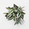 Arranjo Artificial Transfronteiriço de Rabanetes Verdes, Folhas de Batata Doce, Flores Artificiais, Paredes de Plantas Verdes, Decoração de Parede de Gramado, Arranjo de Flores para Grade de Varanda