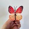Simulación Estéreo 3D Mariposa Caperucita Roja Explosiones Atmósfera Decoración de Ventana de Mariposa Pasador Tocados Material diy