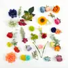 Explosiones transfronterizas de alta calidad 49 piezas de simulación de color otoño-primavera cabeza de flor de rosa peonía hojas de hierba acuática material de flor para pasador DIY