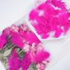 Venta al por mayor de fábrica concha cabello blanco pluma puntiaguda bricolaje accesorios de joyería hechos a mano artesanías accesorios decorativos para ropa