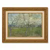 Moldura Dourada Retrô Campo de Pessegueiros em Flor de Van Gogh Céu Estrelado Estilo Pintura a Óleo Sala de Estar Entrada Pintura de Parede Emoldurada Pintura Decorativa Personalizado
