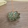 Portaincienso de estrella de cumpleaños antiguo chapado en cobre sólido, quemador de incienso de reflujo, urraca, flor de ciruelo, pájaro, mascota de té, soporte para té, estilos
