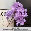 Flores de Orquídea Copo de Nieve Artificiales para Decoración de Salón de Bodas, Arreglos de Flores Artificiales para Pasillos, Accesorios de Fotografía para Exteriores, Flores Artificiales