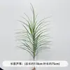 Capim Espargo, Capim Bigode de Dragão, Paisagismo de Plantas, Folhagem, Banquete de Casamento e Noivado, Display de Janela Suspenso Estilo Floresta, Arranjo Floral