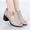Sandalias de Mujer 2020 Nuevo Europeo y Americano Talla Grande Tacón Grueso Boca de Pez Verano Nueva Moda Zapatos de Madre