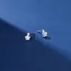 Aretes de Estrella de Cinco Puntas de Plata S925 Beixi Silver Jewelry para Mujer Nuevos Ins Nicho Lujo Accesible Aretes de Estrella Aretes Elegantes