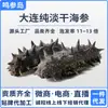 Dalian Especialidad Pepino de Mar Seco Puro Secos al por Mayor Mariscos Productos Acuáticos Pepino de Mar de Liaoning a Granel Caja de Regalo para el Hogar Se Puede Usar Comercial