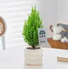 [Relax] Pinheiro Fragrante Pequeno Árvore de Natal Planta Verde Cipreste Planta de Mesa de Escritório Em Vaso Presente de Feriado Presente