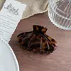 Pinza para el Cabello Pequeña de Tiburón con Forma de Concha de Acetato Estilo Coreano para el Trayecto Diario, Pasador con Gradiente Multicolor para Peinados de Media Recogida