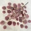 Tela estampada en seda estilo Mori hoja de manzana coloreada al óleo decoración de boda planta verde hojas falsas decoración para sala de estar hogar hojas verdes artificiales
