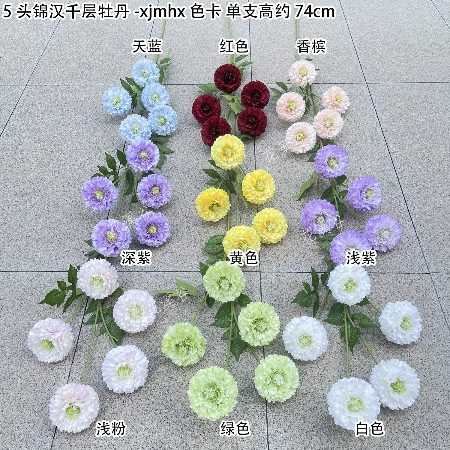 5头锦汉千层牡丹-xjmhx 色卡 花溪谷.jpg