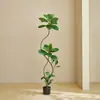 Plantas Verdes Artificiais, Árvore de Borracha Preta de Luxo de Alta Qualidade, Figueira Lira, Árvore Decorativa Artificial de Chão de Alta Qualidade para Sala de Estar Interna