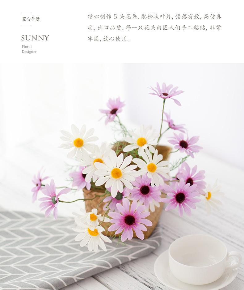 荷兰菊 (3).jpg