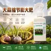 Promotor de crescimento de alho, melhora o tamanho do bulbo, previne acamamento, aumenta a produtividade, fornece micronutrientes essenciais como cálcio e magnésio, oferece nutrição completa e previne pontas secas e amarelecimento das folhas