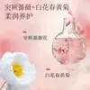 Aceite de Masaje Sándalo Rosa Aceite Esencial Aromaterapia Aceite Esencial Masaje Aceite Esencial Materias Primas Venta al por Mayor