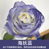 Tinta Spray para Flores, Corante Azul Gelo Triturado Ameixa, Flor de Sabão, Flor Seca, Spray de Arte Floral, Suprimentos para Floricultura Atacado