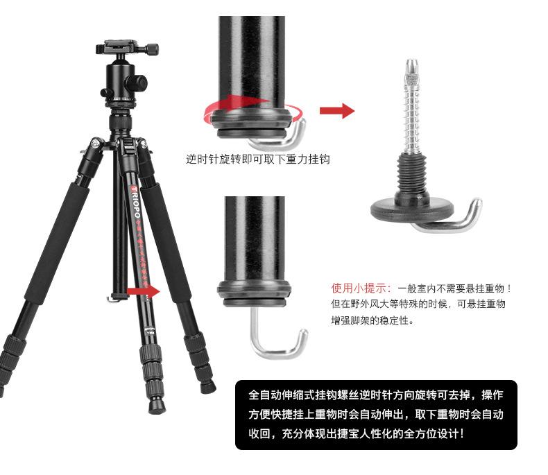 M2508 (4).jpg