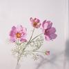 Flor artificial de alta calidad estilo nórdico Cosmos reina accesorios para fotografía de boda decoración de piso flor falsa flor gesang
