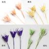 Flor Seca DIY Aromaterapia Difusor de Fragancia Accesorios Ratán Botella Vacía Adornos Varillas de Fibra Difusora Set de Fragancia
