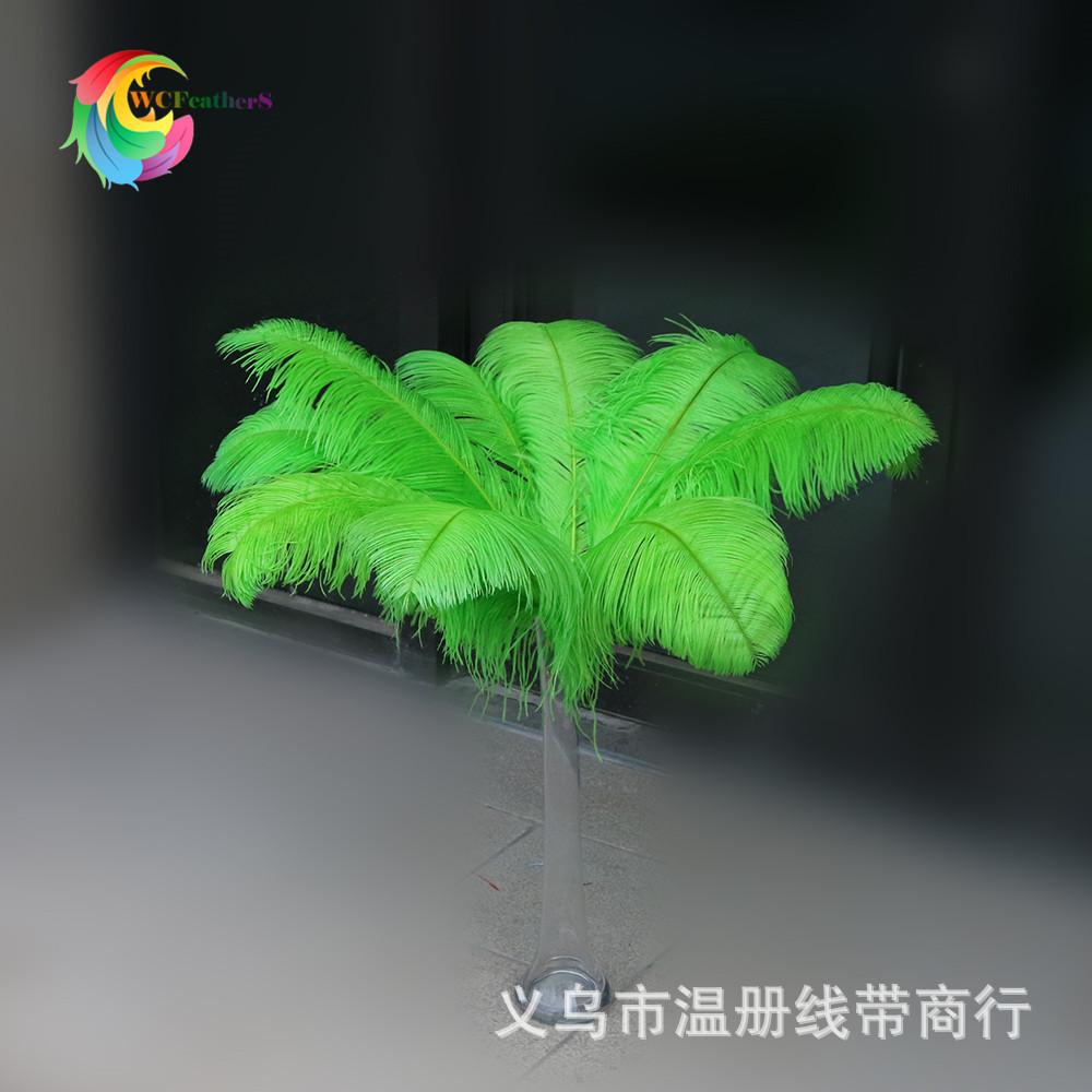 2 鸵大杆 60-65cm 1
