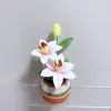 Produto Acabado: Árvore da Fortuna Suculenta Transfronteiriça Bonsai, Vaso de Flores Artesanal Tecido à Mão, Flor Artificial de Lã, Decoração de Mesa para Home Office