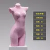 Accesorios de modelo de lencería plataforma de medio cuerpo para mujer push up sujetador ropa pleural de hombre expositor de tienda de ropa cuerpo completo