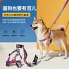 Conjunto de coleira e arreio de nylon bicolor para animais de estimação, direto da fábrica, com fivela de LED para passear com o cachorro