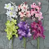 Fabricante de Flores de Ano Novo Orquídea Phalaenopsis de 9 Hastes Balde da Fortuna Balde Abraço Decoração de Casamento Casa Flores Artificiais Atacado