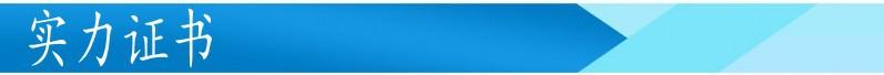 实力证书.jpg