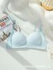 Venta directa de fábrica comercio electrónico transfronterizo Sudeste Asiático Vietnam Tailandia sujetador para mujer de pecho pequeño ligero cómodo con relleno lateral texto