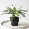 Nueva Planta Artificial Verde Hojas Artificiales Césped Remando Interior Ajuste Suave Paisaje de Plantas Verdes Paisajismo Hoja de Osmunda