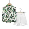 Conjunto de Camisa sin Mangas con Estampado de Hojas de Verano para Niños 2026 Nuevo Estilo Coreano Conjunto Elegante de Dos Piezas para Niños Ropa de Bebé Exportación