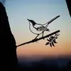 Suministro Transfronterizo de Estación Independiente Silueta de Pájaro Búho Colibrí Pájaro Carpintero Petirrojo Serie Silueta de Pájaro Enchufe para Jardín