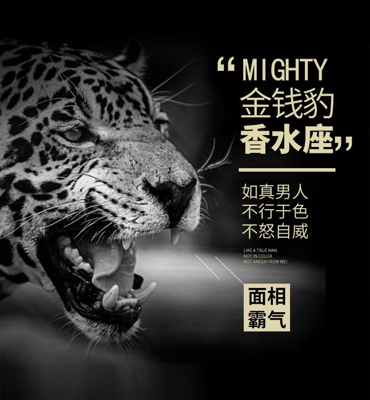 铜钱豹子详情页_02