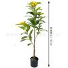 Nuevo árbol de níspero de simulación en maceta para decoración de sala de estar interior y exterior, planta de árboles frutales pequeños, adornos bonsái verdes