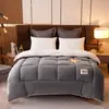 Manta de Forro Polar de Cordero Doble Cara Edredón de Forro Polar Invierno Engrosado Cálido Edredón de Invierno Ropa de Cama Primavera y Otoño Almacén Lightning Dormitorio