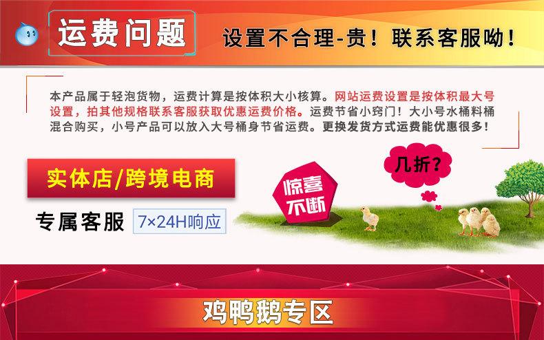 养鸡设备.jpg