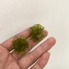 Doce knock brincos de flor de fada ins francês simples sobre temperamento romântico Coringa acrílico clipe de orelha min Mesmo estilo