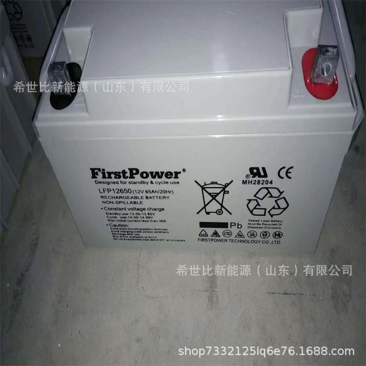 12V65AH2.webp.jpg