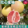 Plántulas de Pomelo Corazón Rojo de una Pieza para Envío Directo para Embellecimiento de Patios del Norte y del Sur con Tierra y Plántulas de Pomelo Injertadas en Maceta de Fruta Extra Grande