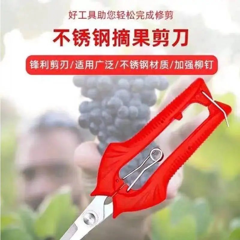 f2002f93-c23a-42a4-b0b5-7a6cf4