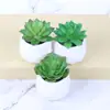 Mini simulación de flores carnosas en macetas, creativas, para bricolaje, para interiores, pequeñas decoraciones, flores de plástico, suministro de fabricantes ES1155-1