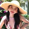 Pendientes Florales de Gasa Hilo de Plata, Simples y de Moda, Estilo Súper Hada, Pendientes para Vacaciones Estilo Infantil para Mujer, Dulces y Versátiles Accesorios para Orejas