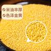 Nuevo Mijo Amarillo Mezcla de Granos 1kg Por Bolsa, Bolsas de 1.0kg Empacadas, Venta al por Mayor Personalizada OEM Arroz Amarillo Pequeño de Aceite Comestible