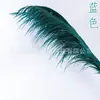 Caña de Hierro Conservadora de Color Duradero, Bambú Panda, Venta Directa de Fábrica de Yunnan, Decoración del Hogar, Decoración de Bodas al por Mayor